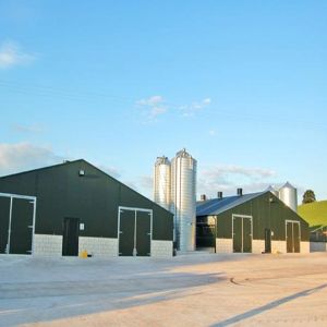 Automated Ventilated Steel Poultry House with Gable Roof