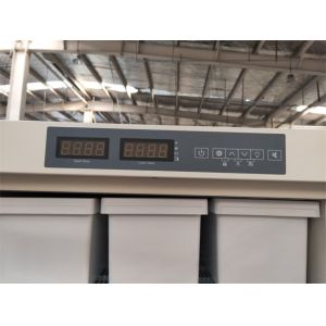 Minus 25 Degrees 528L Capacity Upright Laboratory Vaccine Freezer With Double