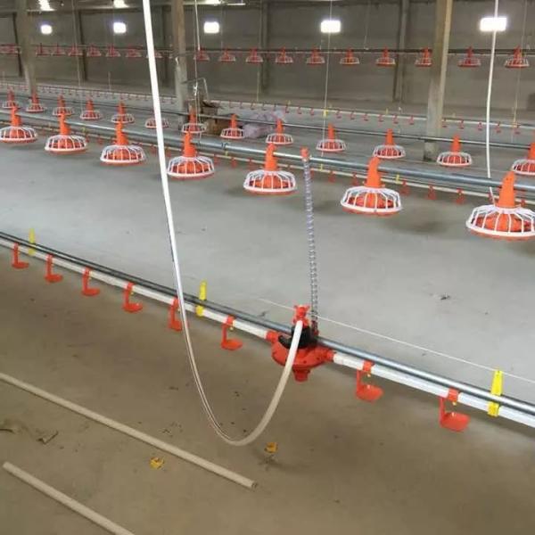 Buy Broiler Poultry Farming Machine Galvanized Steel Pan Feeder System Dia45mm at wholesale prices