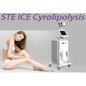 3 Handles Body Slimming Fat Freezing Machine Coolsculpting Equipment Vertical