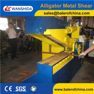 Q43-2500 Scrap metal cutting machine alligator steel shearing machine (CE)