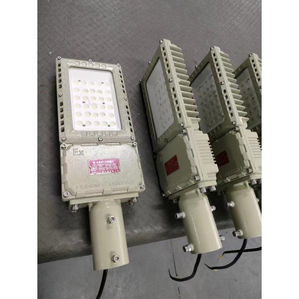Hazardous Material Handling Chemical Spark-Proof LED Flood Lamp with Colour