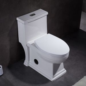 1.28gpf 4.8lpf Dual Flush single piece toilet bidet