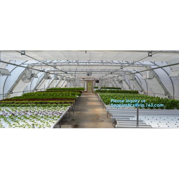 PE protective film customized green house for agriculture anti frost,Venlo Glass Agricultural Green house, SUPPLIES, PAC