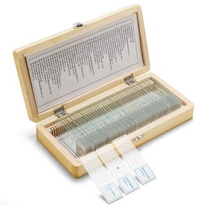 Medical Education Used Fixed Plant Leaf Prepared Microscope Slides Set