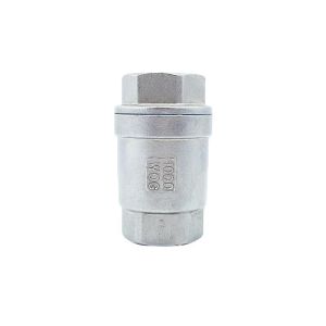 304/316 Stainless Steel Spring Vertical Check Valve with NPT/BSPP/BSPT Thread