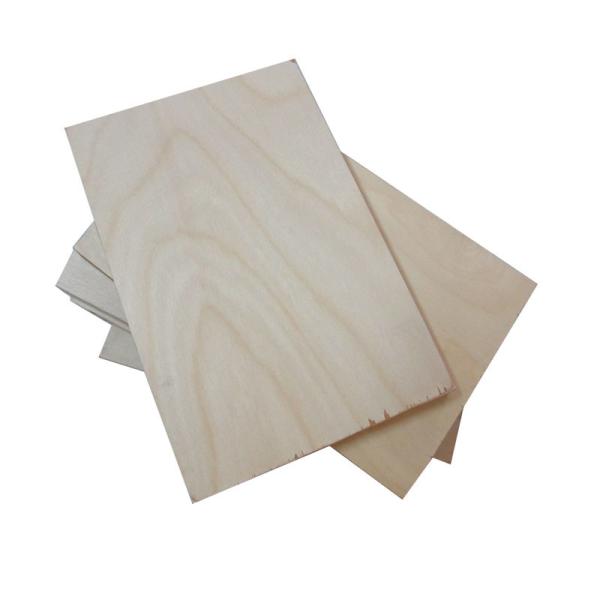 Buy 4x8 Ft Birch Faced Plywood at wholesale prices