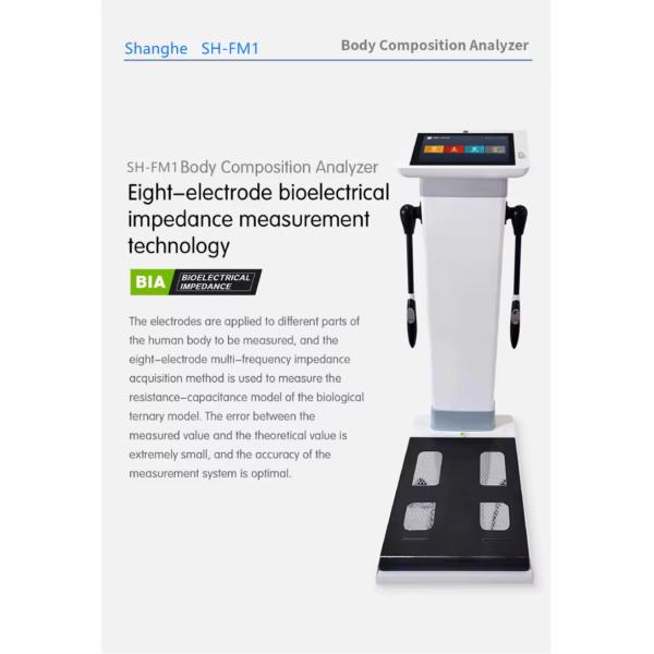 Hot Spa Gym Center Need Body Composition Analyzer 3D Human-Body Elements Analysis Body Analyzer
