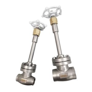 Stainless Steel 304 CF8 DN65 Cryogenic Globe Valve