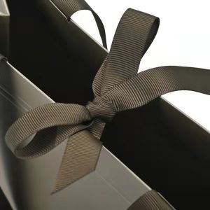 Varnishing Surface Custom Printed Paper Bags Jewelry Luxury Gift