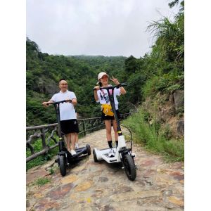 250W Foot Running 3 Wheel Foldable Electric Scooter