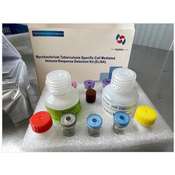 Buy Tuberculosis-Interferon Gamma Release Assay antibody Elisa kit TB-IGRA at wholesale prices