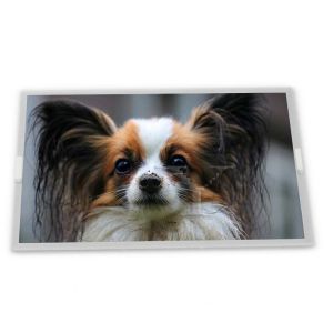 Quality ODM 15.6-Inch WLED LCD Display Module LQ156T3LW02 1366*768 Resolution IPS TFT LCD Panel New Vehicles RGB Interface LCM for sale