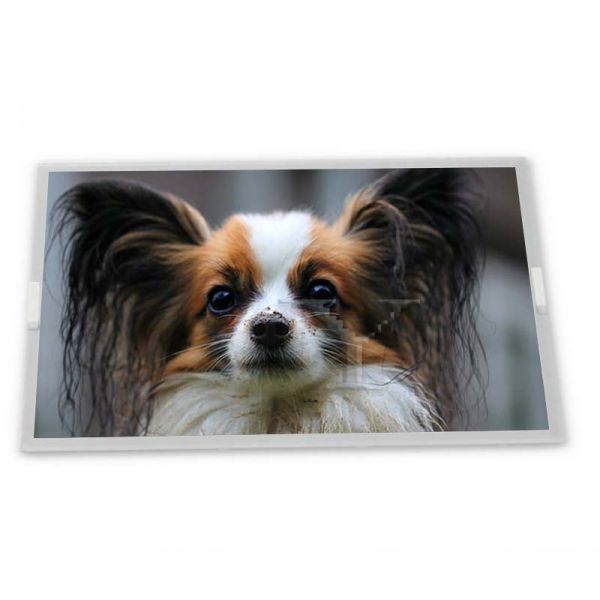 stock 15.0-Inch WLED Customizable LCD Display Module 1024*768 Resolution ODM