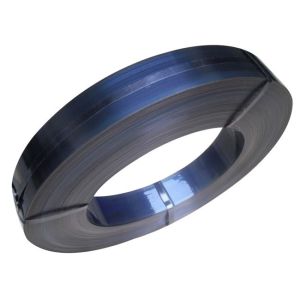 China JIS G4802 S50C-CSP Blue Spring Steel Strips on sale