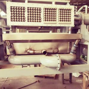 Rotary Paper Egg Tray Machine 2000-3000pcs/H Orange And Green Pulp Molding
