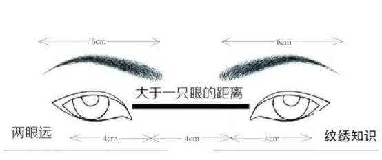 Artificial Fibers Cosmetic Beauty Tools / Black Eye Makeup Brushes For Eyelashes / Eyebrows