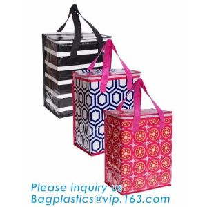 Chinese factory hot sale non-woven film can be carried insulation bag,Oxford