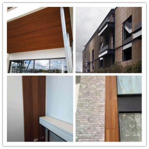 Waterproof WPC PVC Fluted Wall Panels in Customized Colors for Interior and