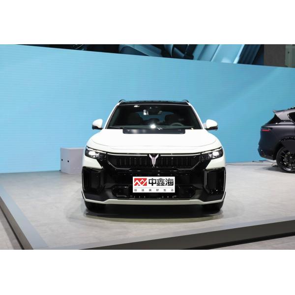 2022 Factory Direct Sales High Quality 4 Seats Cheap Electric Adult Car 4 Wheel VOYAH FREE 2022 DNA Design Pure Electric Edition