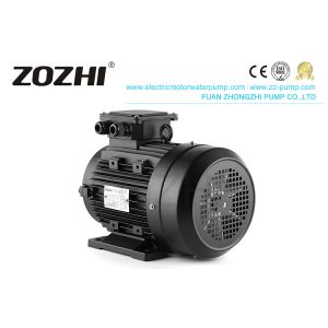 Three Phase 1400RPM IE3 24mm Hollow Shaft Induction Motor