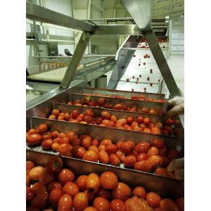 380V Fully Automatic Tomato Paste Processing Machine Water Saving For Factory
