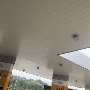 300mm Width Plank Ceiling Tiles Windproof Exterior Plain Perforated Pattern