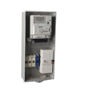 NFC62411 PG Series ELCB Earth Leakage Circuit Breaker 2P 300mA