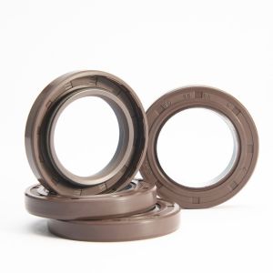 FKM Oil Seals for Oil Chamber Sealing and Dust Protection