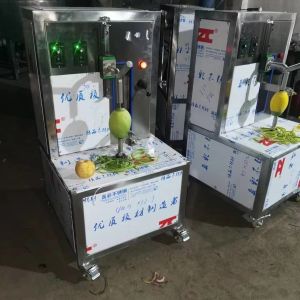 High quality industrial olive process plant Olive pitting machine avocado