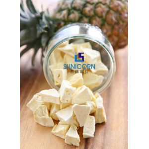 Lyophilization 4KG Input Freeze Drying Equipment SUS304