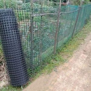 Normal Black Biaxial Geogrid Essential for Breeding Chickens Plastic Fence in