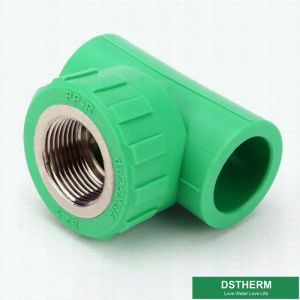 Green Female Threaded Tee Din 8077 Ppr Pipe Fittings