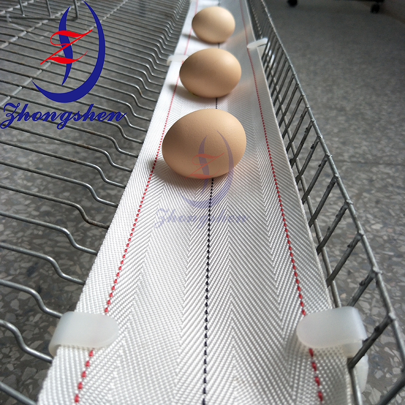 Zhongshen PP2 Professional Nylon Egg Collection Belt - Maximum Durability