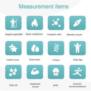 Professional Body Composition Analyzer Body Fat Analyzer Machine