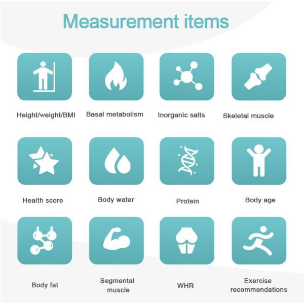 Height Weight Body Composition Analyzer Protein Balance for Spa