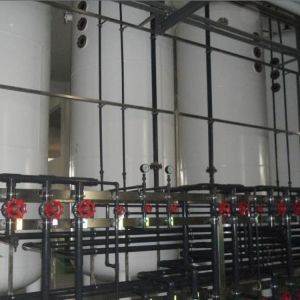 Best Natural Plant Extract Anti-Oxidant Pterostilbene Powder 99% Pterostilbene