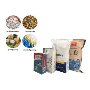 Customized Natural Brown Kraft Paper Packaging Bags Flexo print