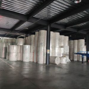 Custom Tissue Paper with Biodegradable Materials Eco-Friendly Choice