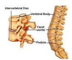 Reliable Cervical Decompression Machine Non Linear Logarithmic Curve