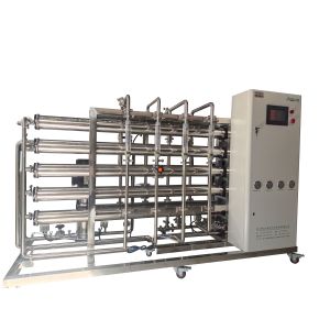 1000L/H Double Pass RO System All Stainless Steel Plant