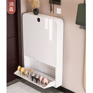 China 2024 New Disinfection Smart Sterilization Ultra-Thin 15cm wide Steel Shoe Storage Cabinet For Home Entrance, Aisle on sale