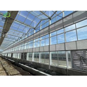 Steel Structure Humidity-Controlled Growing System Juxiang's Cutting-Edge