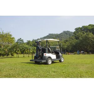 Quality Excar Dual-Seat Electric Golf Cart 48V Lithium Battery for sale