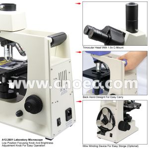 WF10x/18mm 40X 1000X Quadruple Nosepiece Learning Compound Optical Microscope