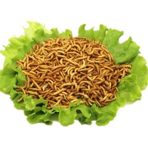 Quality Origin Premium Dried Mealworms - Fast &amp; Free Shipping for sale