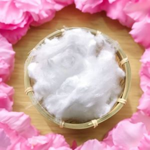 Non Siliconized Pet Low Melt Polyester Staple Fiber Recycling