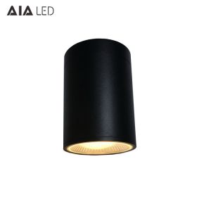 IP65 waterproof modern design 15W COB LED down light&outdoor LED down lamp for