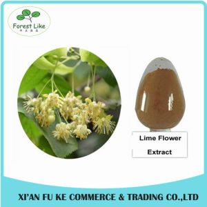 High Quality Lemon Balm (Melissa Officinalis) Extract powder