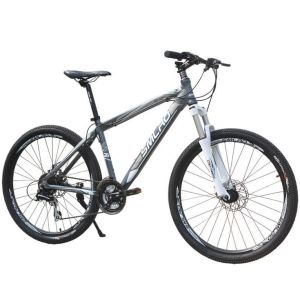 Foldable Carbon Fiber Mountain Bicycle
